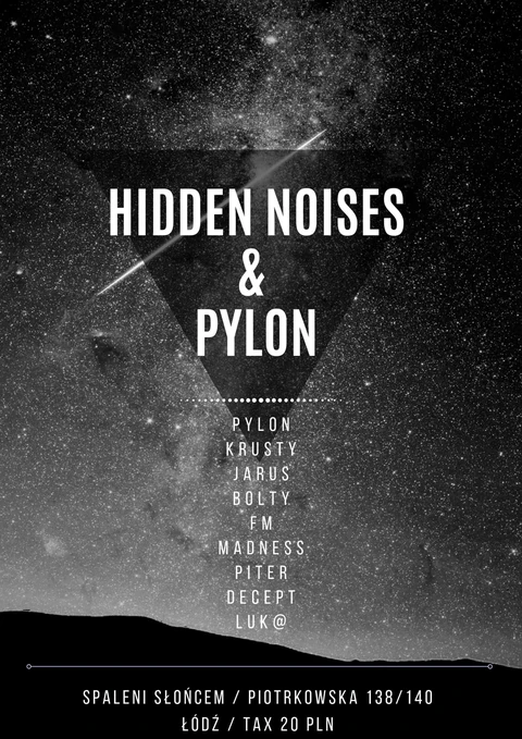HiddenNoises&Pylon 2019-07-13 #2