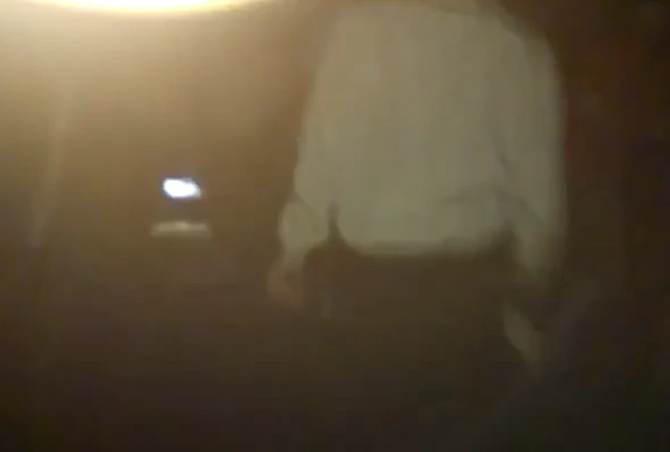 Thumbnail for FM b2b Gibo | Harem aka Orphanage