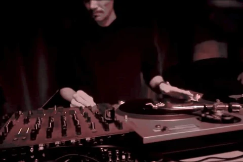 Willa 2023-10-31 unknown